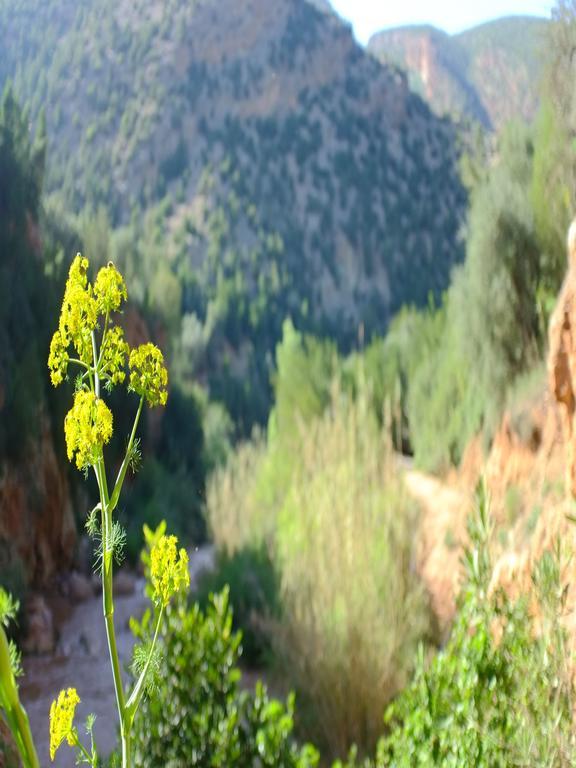 Riad Cascades D'Ouzoud Esterno foto