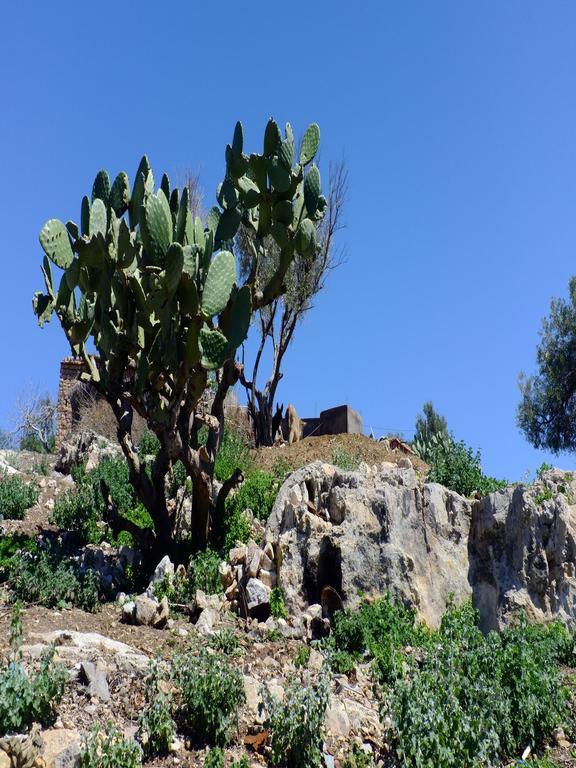 Riad Cascades D'Ouzoud Esterno foto