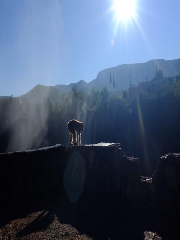 Riad Cascades D'Ouzoud Esterno foto