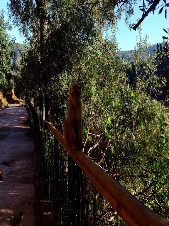 Riad Cascades D'Ouzoud Esterno foto