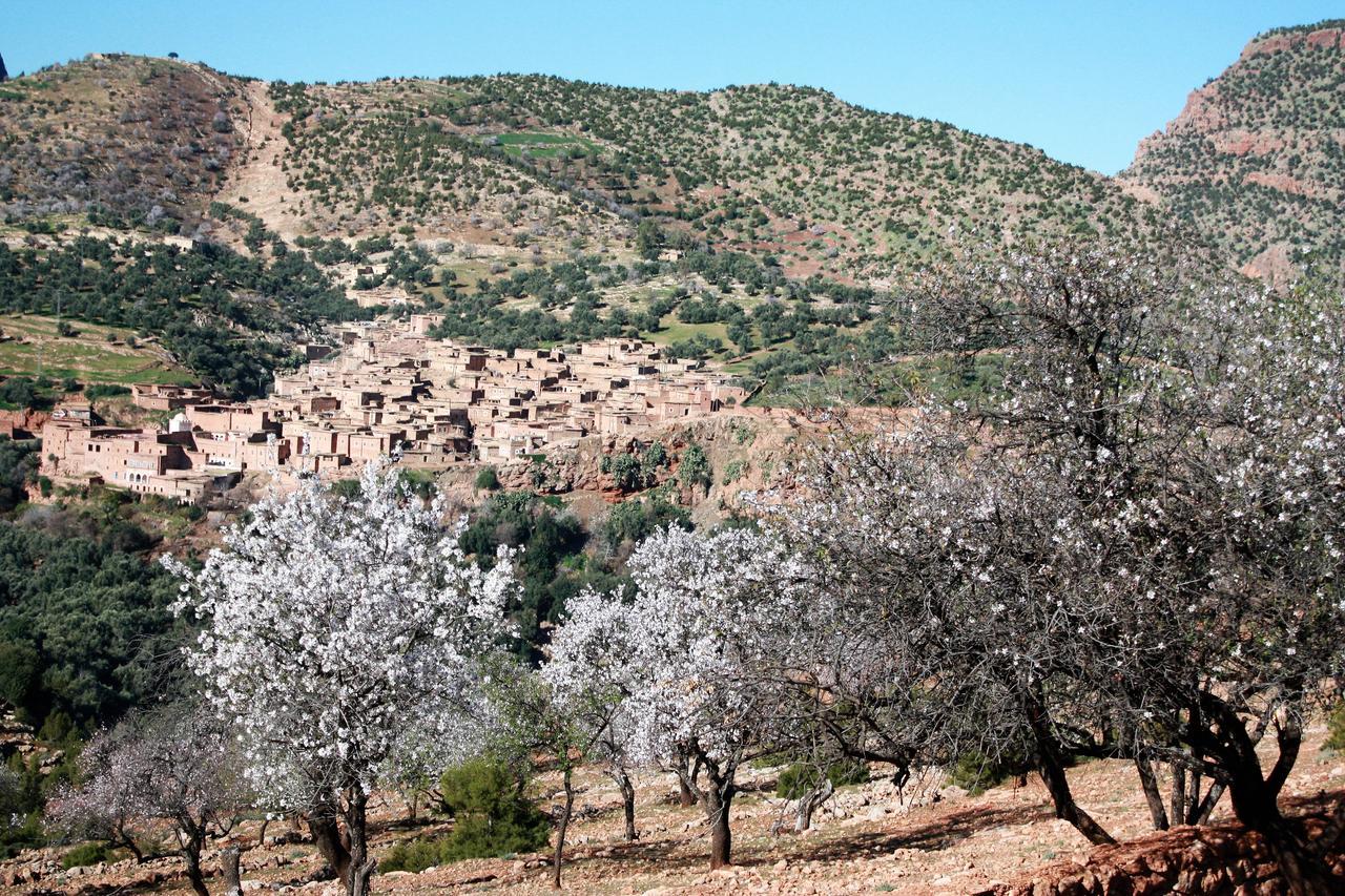 Riad Cascades D'Ouzoud Esterno foto